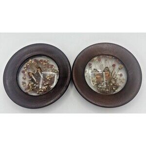 2-Vintage The Brazilia Collection By Dunston Butterflies & Dried Flowers 6.5"